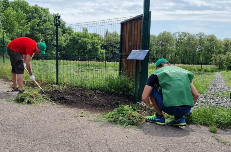 Переселенці з Авдіївки приєдналися до волонтерського руху "Дбаємо разом" від громадської спілки "Зелений центр Метінвест"