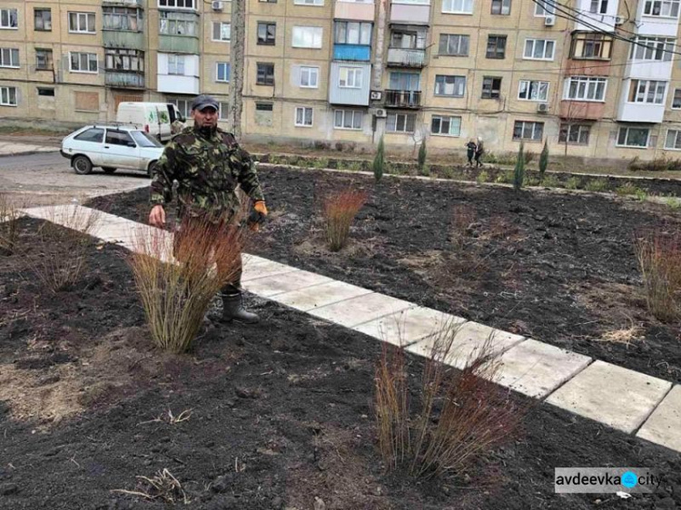 В Авдіївці стартував проект по озелененню міста