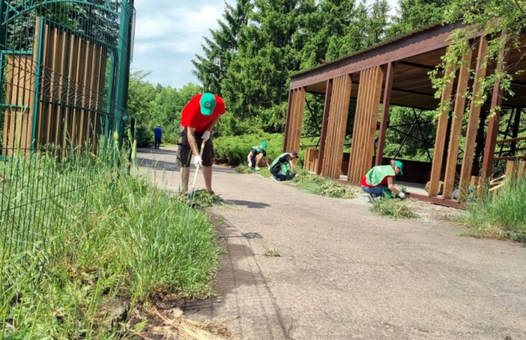 Переселенці з Авдіївки приєдналися до волонтерського руху "Дбаємо разом" від громадської спілки "Зелений центр Метінвест"