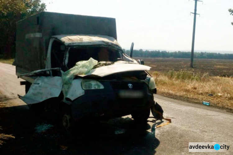 В Донецкой области на дороге на "Газель" упало дерево: два человека госпитализированы (ФОТО)