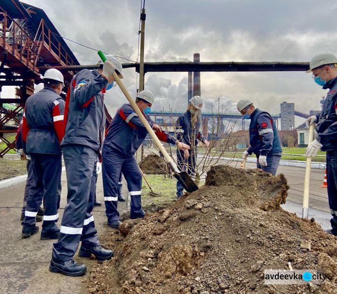 Авдеевские коксохимики присоединились к глобальному экологическому проекту «Озеленение планеты»