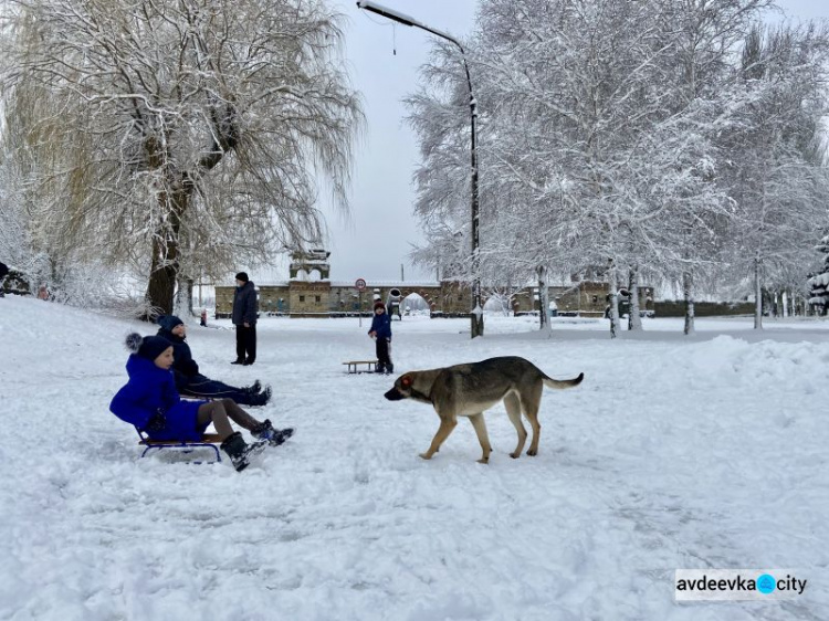Авдеевка сегодня (ФОТОФАКТ)