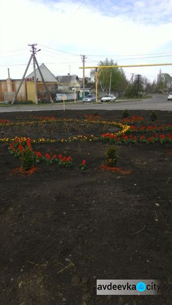 Авдеевка расцвела благодаря коммунальщикам: фотофакт