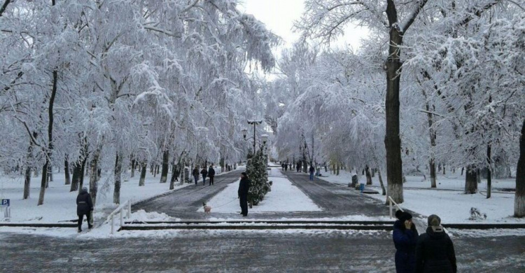 В Авдеевку пришла сказочная зима (ФОТОФАКТ)