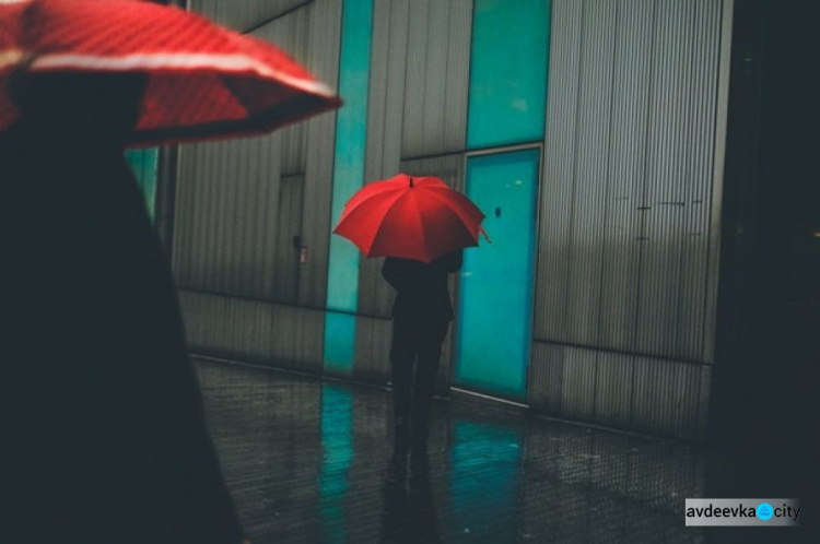 Эксперты назвали лучшие Instagram-фото 2018 года