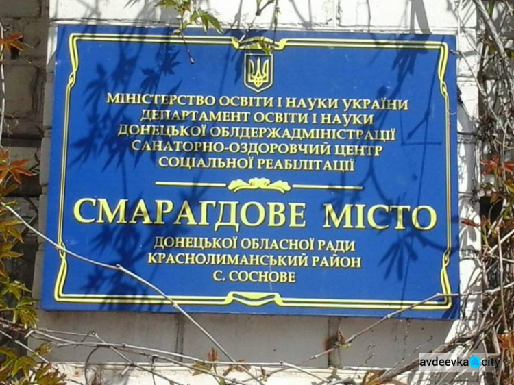 Дети вернулись в Авдеевку из «Изумрудного города»