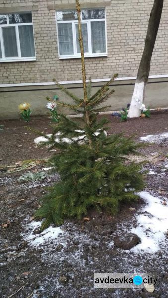 Черкащина прикрашає Авдіївку (СВІТЛИНИ)