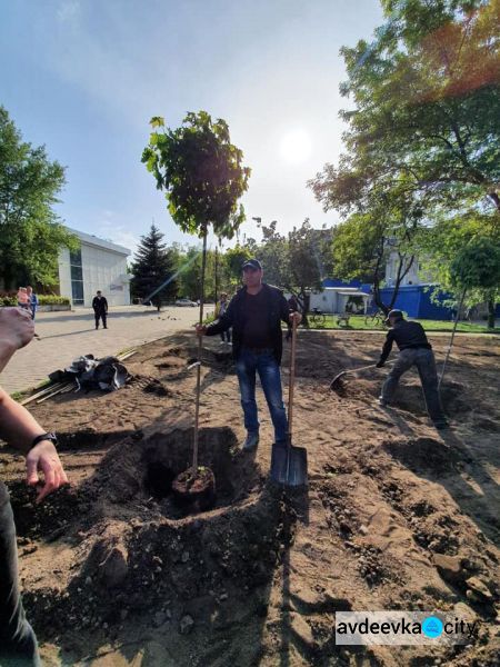 Коммунальщики продолжают озеленение Авдеевки:фотофакт
