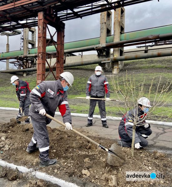 Авдеевские коксохимики присоединились к глобальному экологическому проекту «Озеленение планеты»