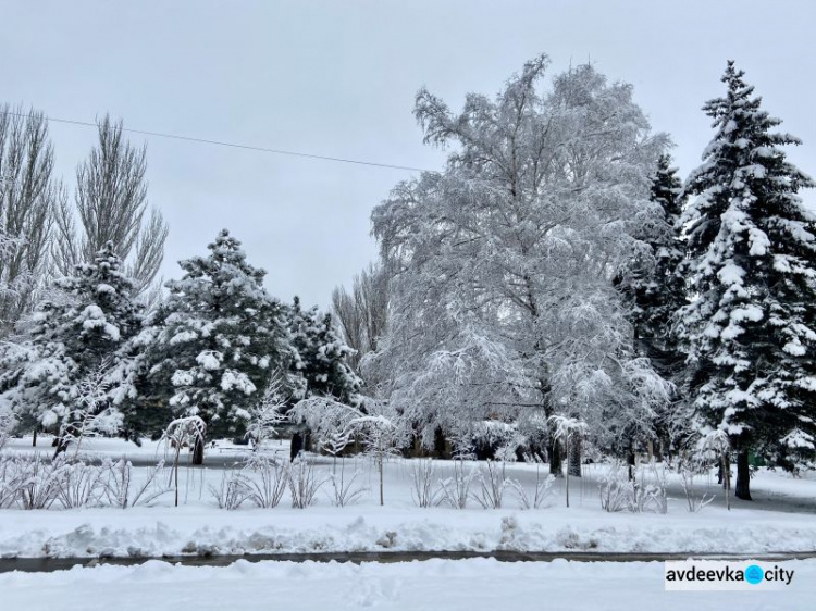 Авдеевка сегодня (ФОТОФАКТ)