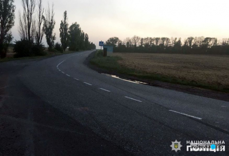 Поліцейські Авдіївки розслідують ДТП, в якій постраждала жінка