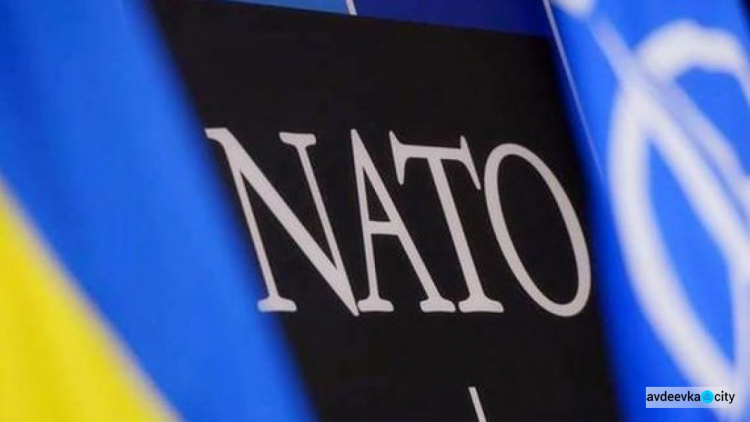 В Украине могут разместить военные базы НАТО