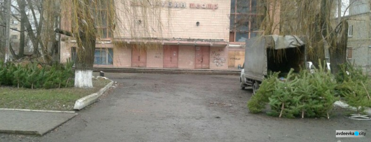 В Авдіївці визначили місця для тимчасової реалізації ялинок та сосен перед новорічними святами