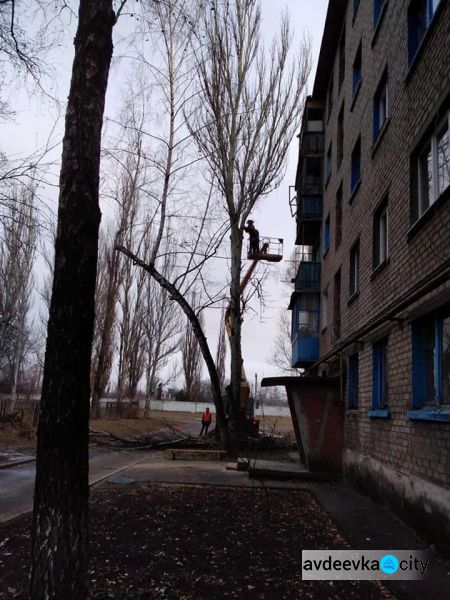 Несмотря на праздники, работа кипит