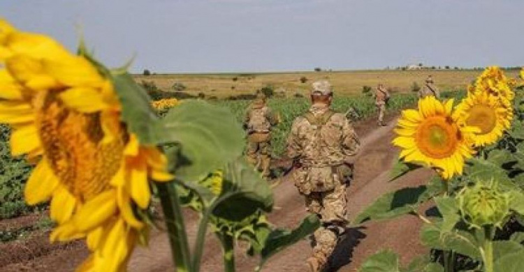 Донбасс и новое перемирие: с полуночи стрельба прекратилась