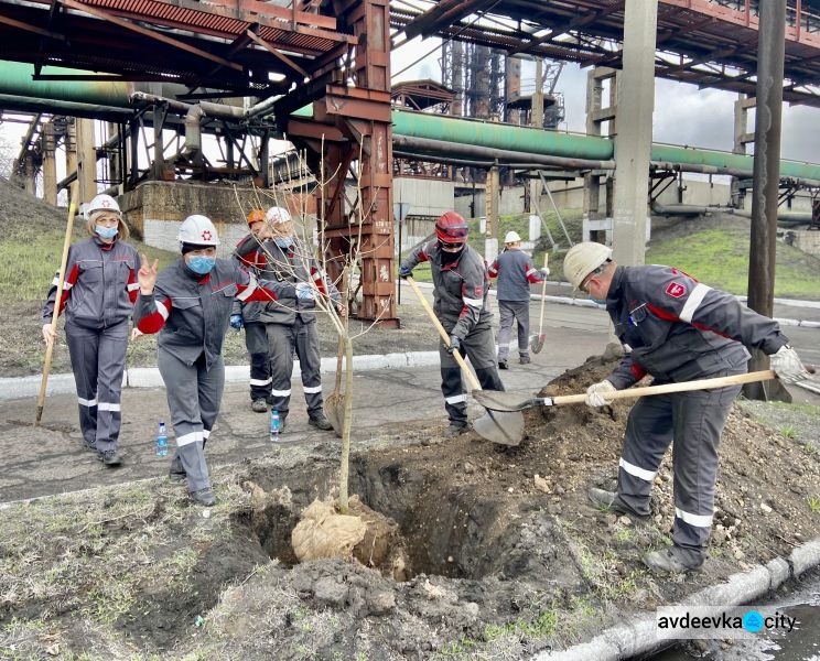 Авдеевские коксохимики присоединились к глобальному экологическому проекту «Озеленение планеты»