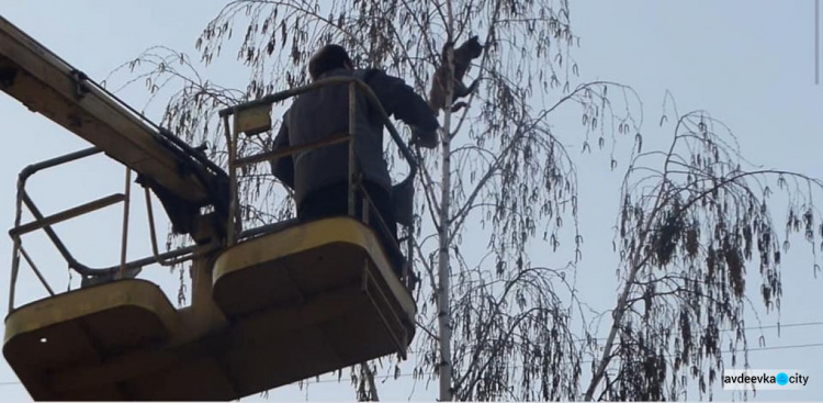 Работники КП «СЕЗ» пришли на помощь коту