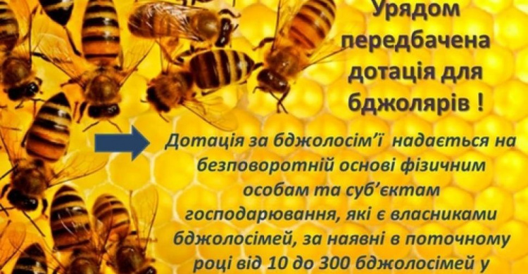 Пасечники Авдеевки могут получить дотацию на пчелосемьи