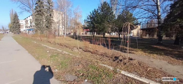 В Авдіївці стартував проект по озелененню міста