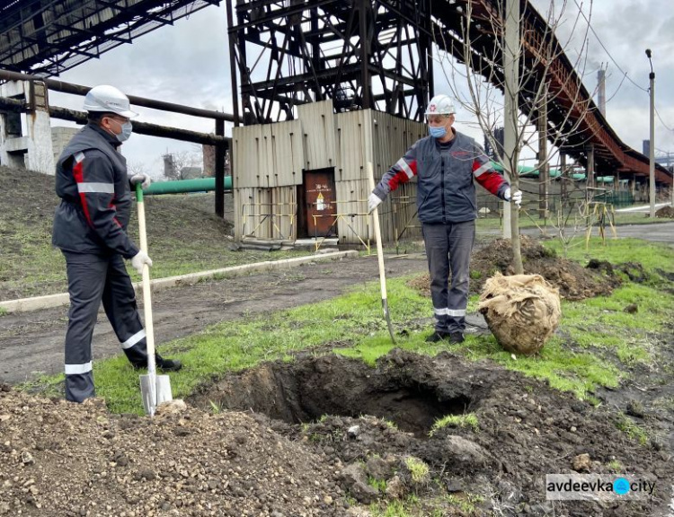 Авдеевские коксохимики присоединились к глобальному экологическому проекту «Озеленение планеты»