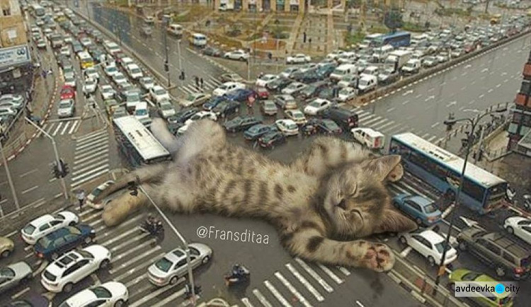 Котзилла! Индонезийский художник вписывает огромных кошек в городские пейзажи (ФОТО)