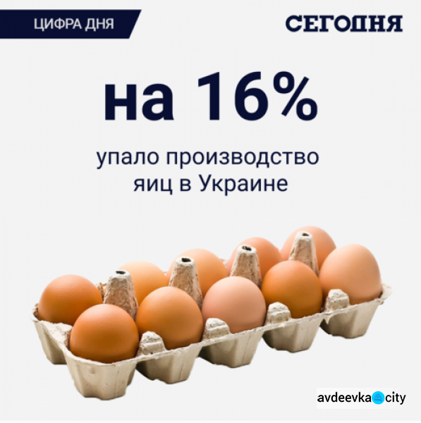 В Украине становится все меньше яиц: какая цена станет для авдеевцев