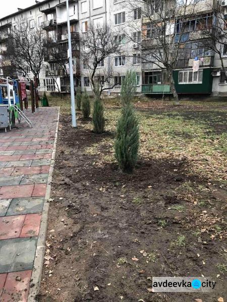 В Авдіївці стартував проект по озелененню міста
