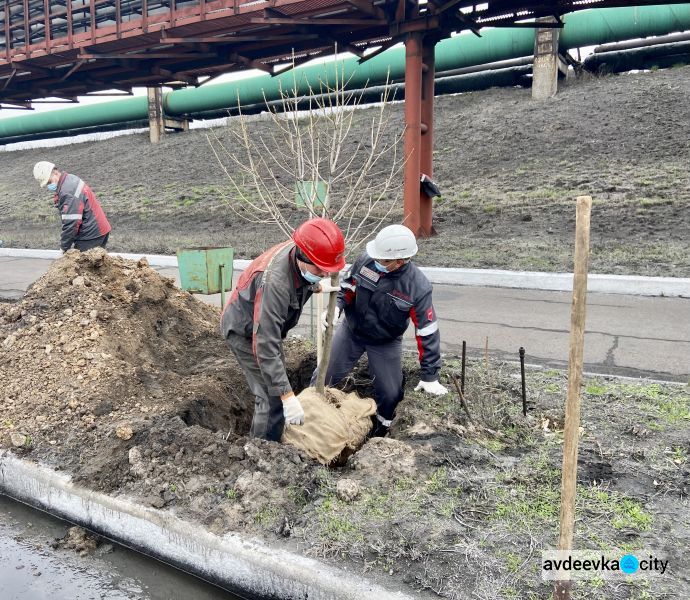 Авдеевские коксохимики присоединились к глобальному экологическому проекту «Озеленение планеты»
