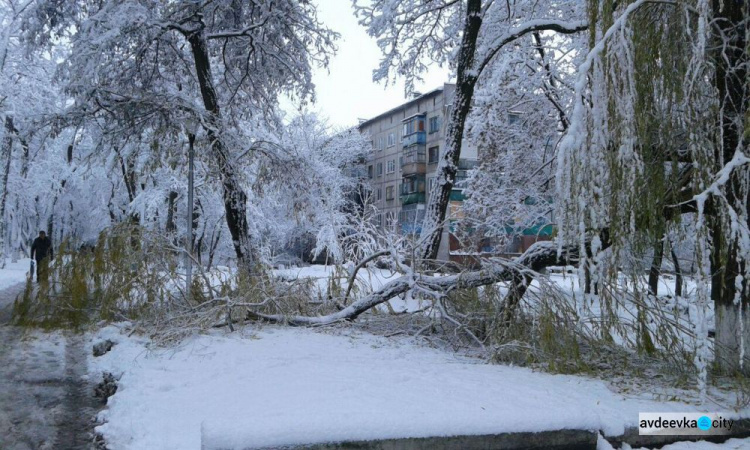 В Авдеевку пришла сказочная зима (ФОТОФАКТ)