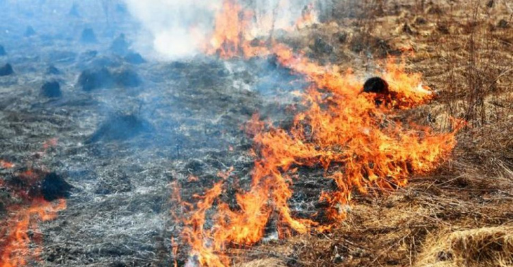 Пожежна небезпека: в місті Авдіївка палала трава