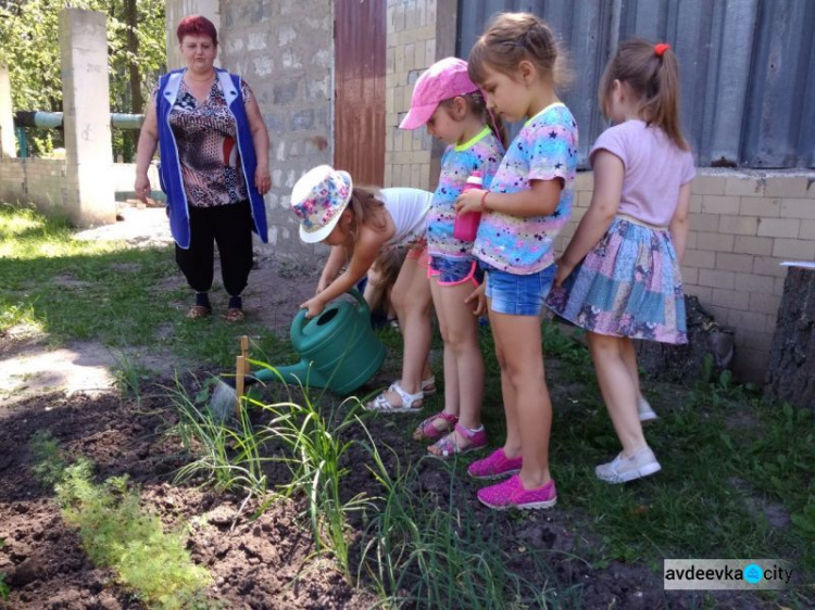 В авдеевском садике "Малыш" детвора выращивает тепличные овощи (ФОТО)