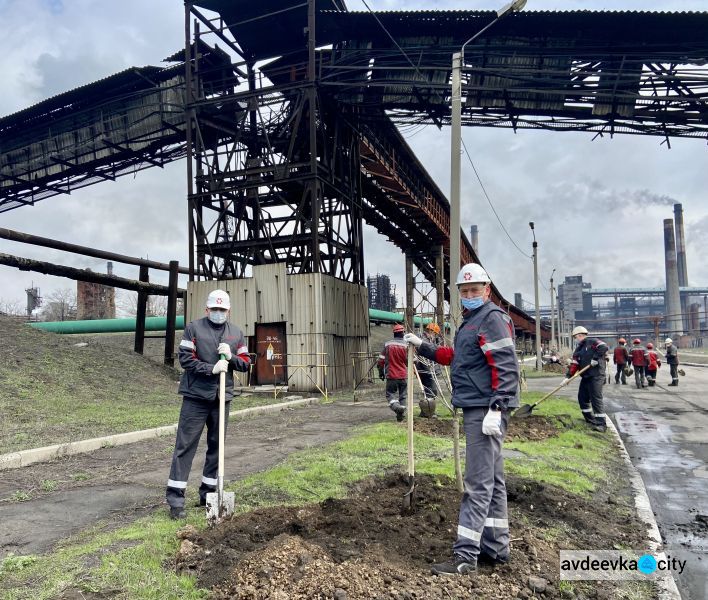 Авдеевские коксохимики присоединились к глобальному экологическому проекту «Озеленение планеты»