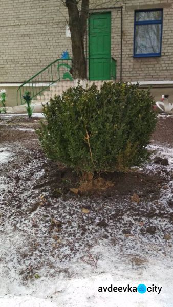 Черкащина прикрашає Авдіївку (СВІТЛИНИ)