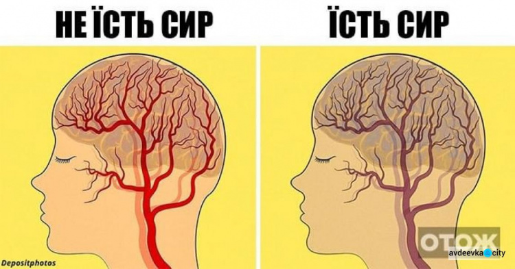Щоб не було хвороби Альцгеймера авдіївцям треба їсти сало: які 12 продуктів впливають на психіку