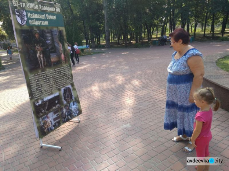 В Авдіївці відкрилась виставка до Дня звільнення міста від незаконних збройних формувань(ФОТО)