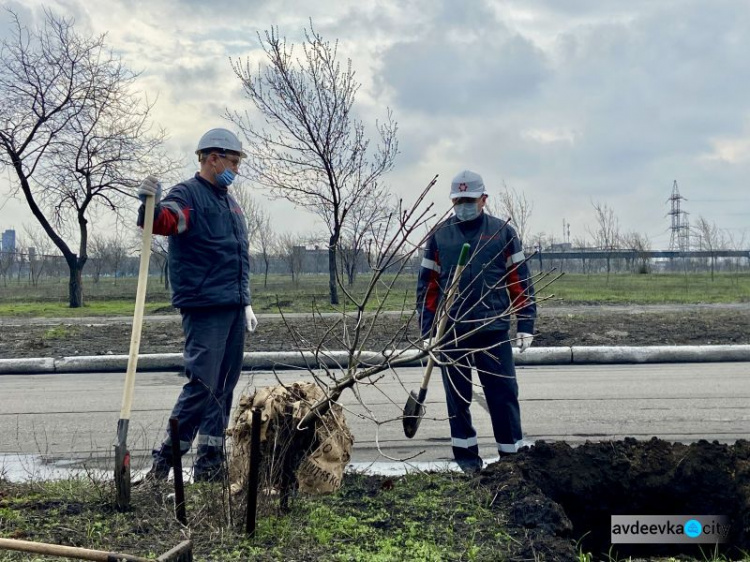 Авдеевские коксохимики присоединились к глобальному экологическому проекту «Озеленение планеты»