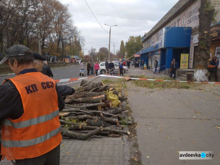 Коммунальщики спилили дерево в центре Авдеевки: многие горожане недовольны (ФОТО)