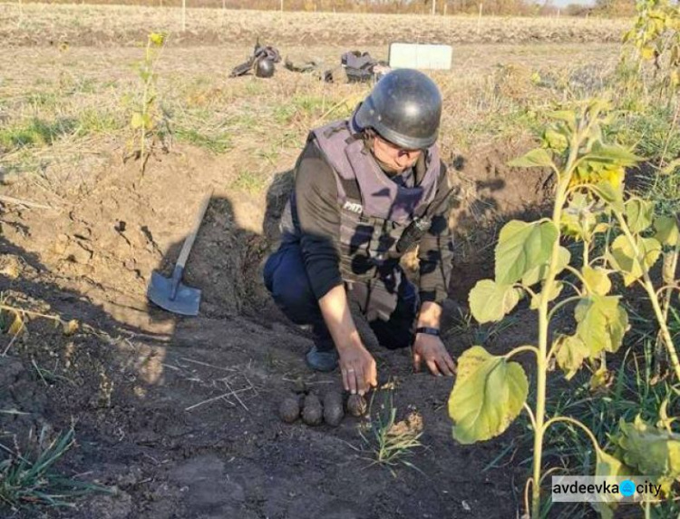 В зоне проведения ООС на Донбассе стало меньше взрывоопасных предметов и больше восстановленного жилья (ФОТО)