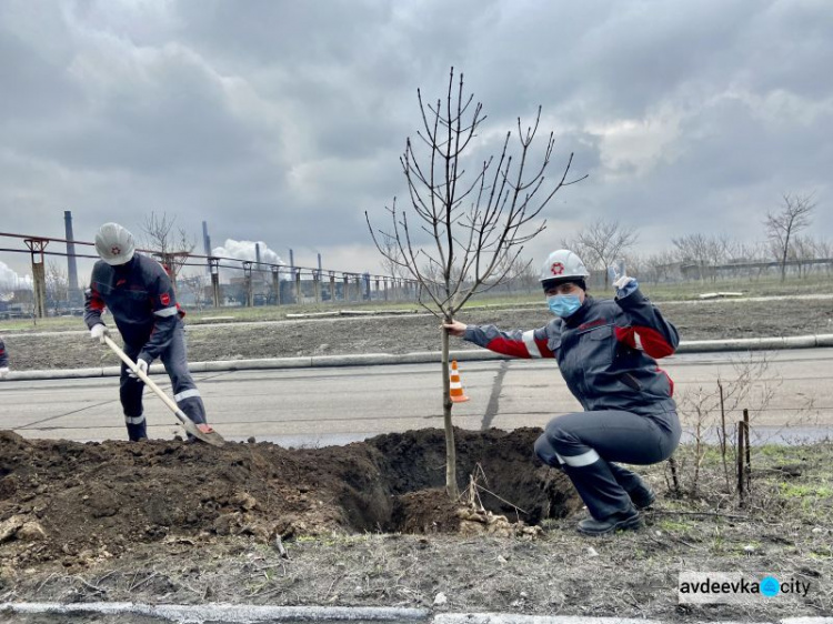 Авдеевские коксохимики присоединились к глобальному экологическому проекту «Озеленение планеты»