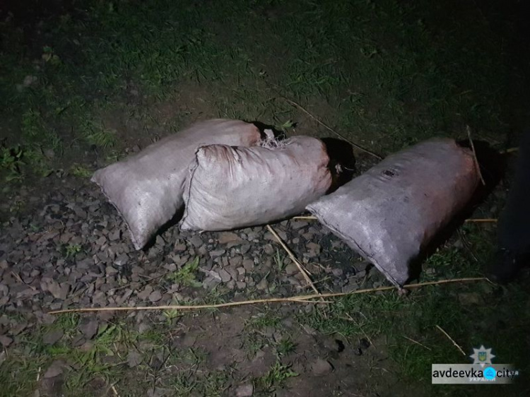 На Донетчине поймали «угольных» воришек