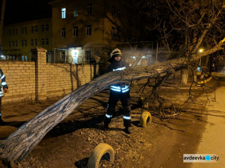Шквальный ветер валил деревья в Донецкой области (ФОТО)