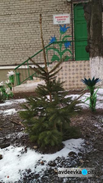 Черкащина прикрашає Авдіївку (СВІТЛИНИ)