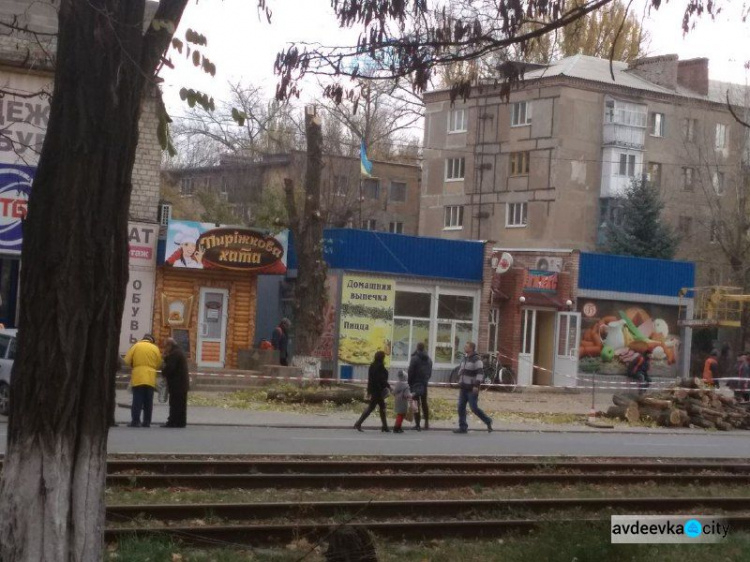 Коммунальщики спилили дерево в центре Авдеевки: многие горожане недовольны (ФОТО)